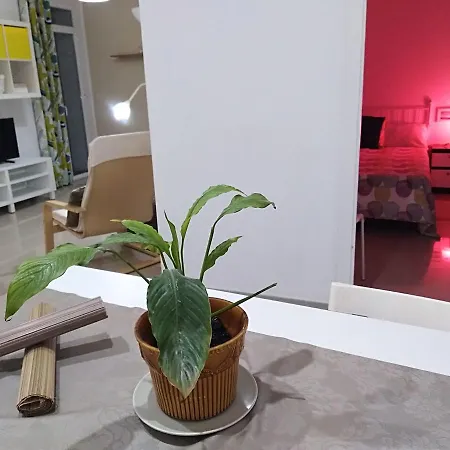 Pensión Pensión Cádiz Cádiz